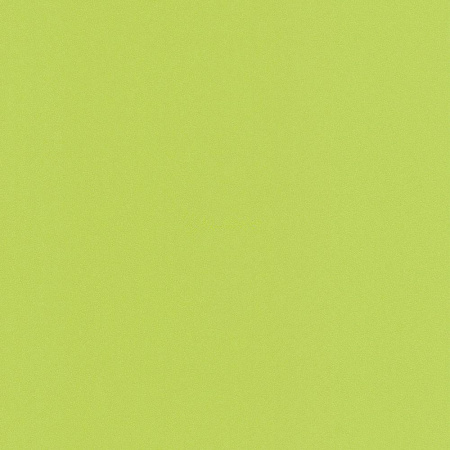 фото Rasch Prego 2 2019 469035