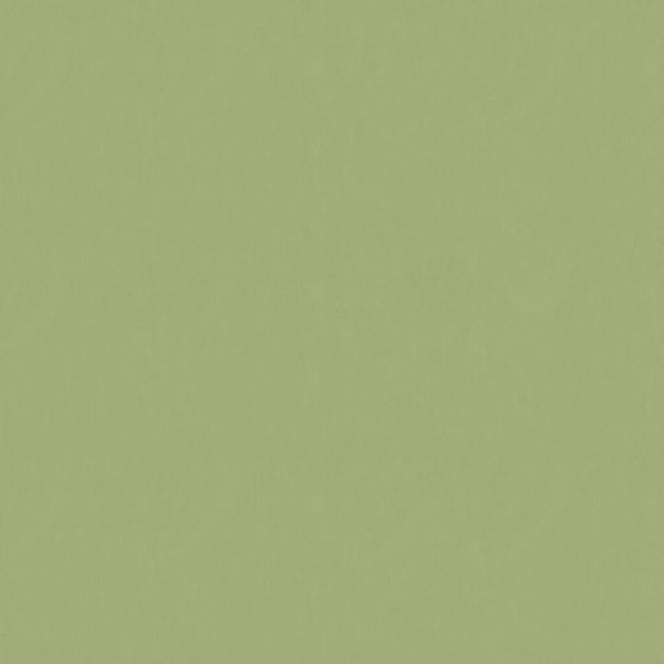 купить Graham & Brown Paradise 100038