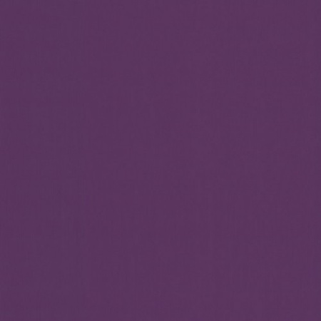 фото P+S International Crispy 03881-52