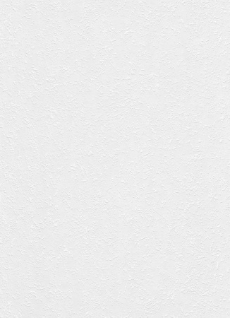 фото Erismann RollOver 5385-10 (5385-01)