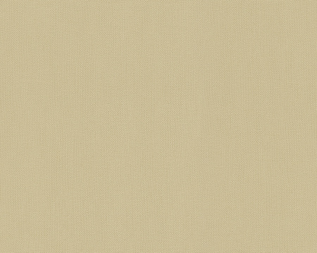 фото A.S.Creation Felicia 966810