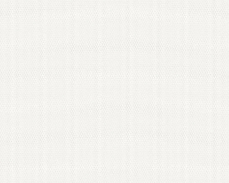 фото A.S.Creation Esprit 13 35755-1