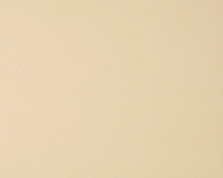 фото A.S.Creation Best of Vlies 2012 169259