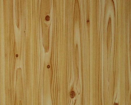 фото A.S.Creation Decora Natur 4 779915