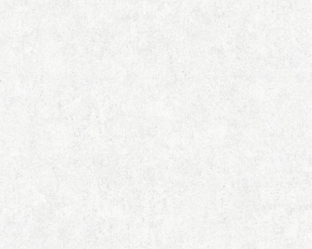 фото A.S.Creation Beton 362074