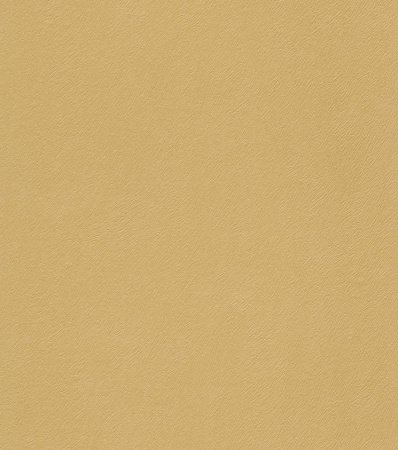 фото Rasch Black Forest 2016 514049