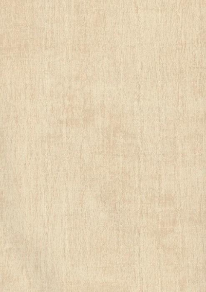 купить BN International Color Stories BN 218511