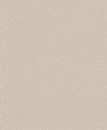 фото Rasch Modern Surfaces 2 607796