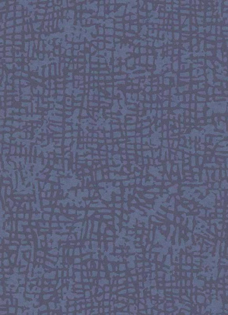 фото Erismann Cassiopeia 1763-08