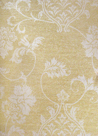 фото Calcutta Pride Pride_Pride309023