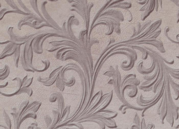 купить BN International Curious 17943