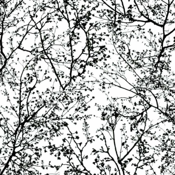 купить P+S International Graphics Alive 13264-70