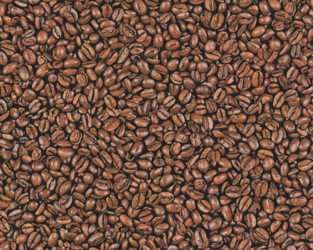 фото A.S.Creation Decora Natur 4 664617