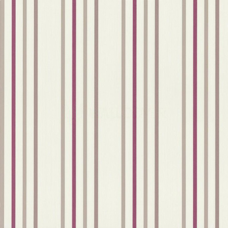 фото P+S International Tribute to 135 Years 42014-40