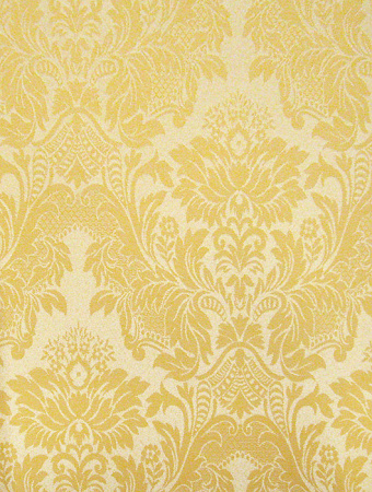 фото Calcutta Pride Pride_Pride309030