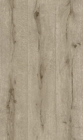 фото Rasch Black Forest 2016 514414