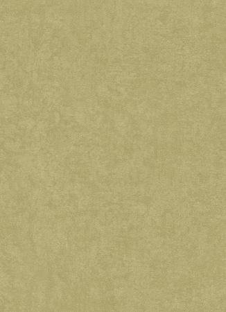 фото Erismann Countryside 5967-07