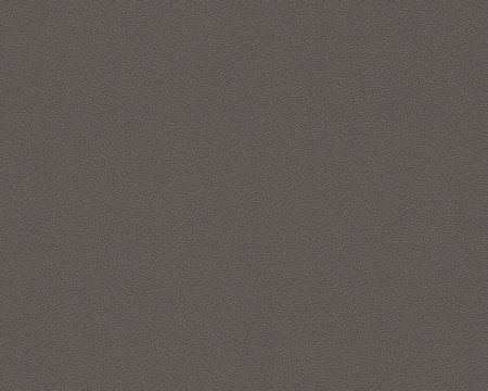 фото A.S.Creation Daniel Hechter 2 286338