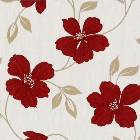 фото P+S International Finesse 05624-50