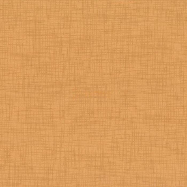 купить P+S International Novara 2 13461-50
