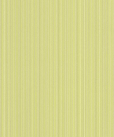 фото Rasch Flower Poetry 2015 430677