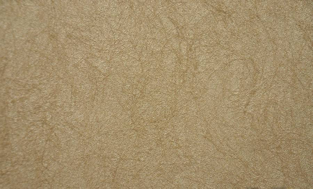 фото Rasch Gentle Divine 216058