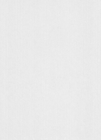 фото Erismann RollOver 5361-10 (5361-01)