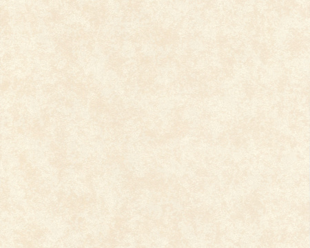 фото A.S.Creation Change 129147