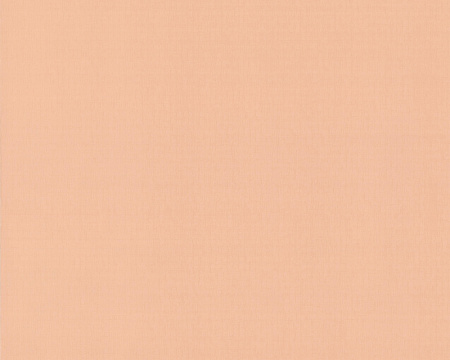 фото A.S.Creation Duetto 850041