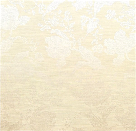 фото KT Exclusive Quod2 221C-01