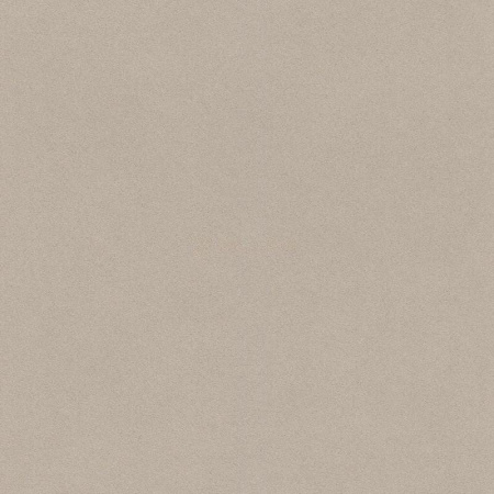 фото Rasch Passepartout 607284