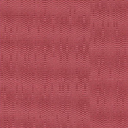 фото Rasch Queens 2013 795950