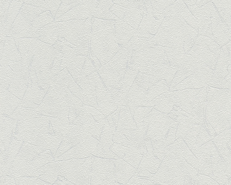 фото A.S.Creation Meistervlies 4 5712-12 / 5871-14