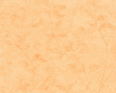 фото A.S.Creation New Look 32447-4