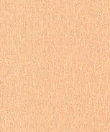 фото Rasch HOME VISION 2016 863543