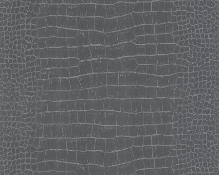 фото A.S.Creation Dekora Natur 5 146625