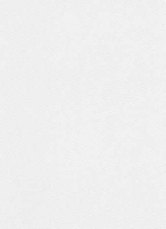 фото Erismann RollOver 5337-10 (5337-01)