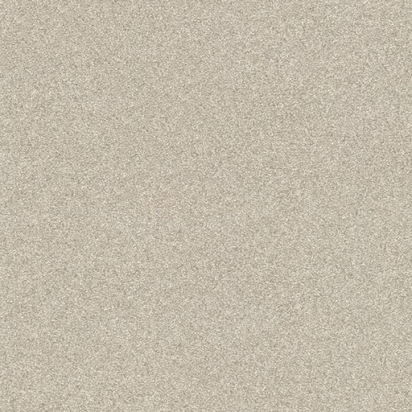купить Rasch Passepartout 606645