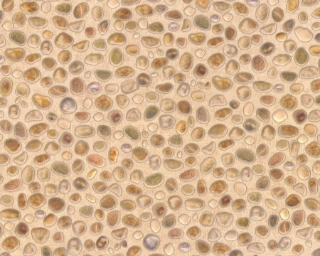 фото A.S.Creation Decora Natur 4 659514