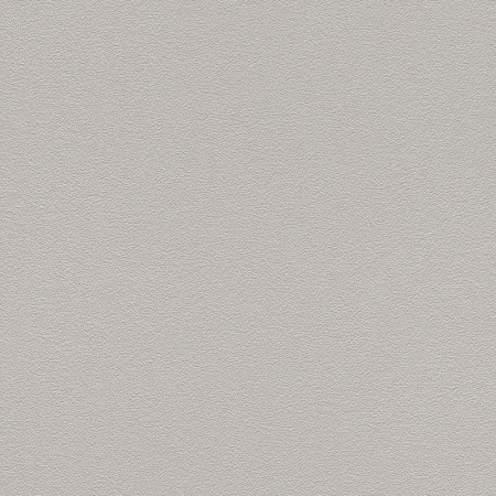 фото Rasch Prego 2 2019 700350