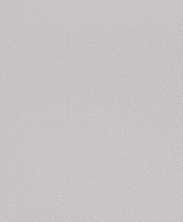 фото Rasch Naturalia 475500