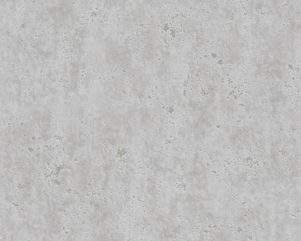 купить A.S.Creation Beton 366004