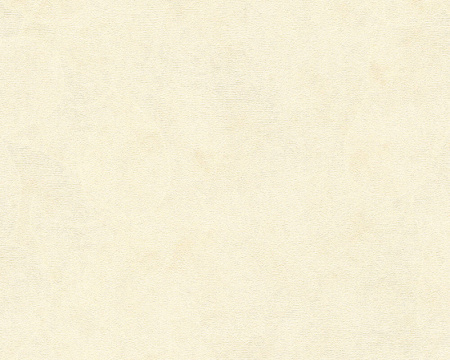 фото A.S.Creation Kind of white 34079-4