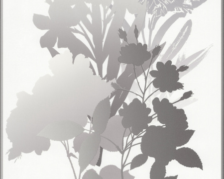 фото A.S.Creation Esprit 7 265838