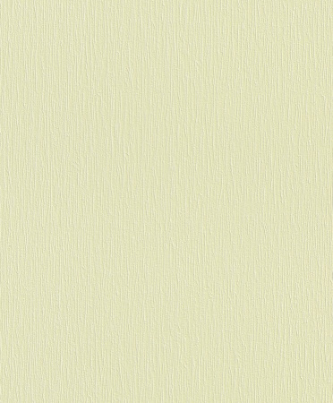 фото Rasch Naturalia 300130