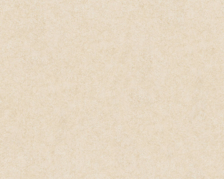 фото A.S.Creation Versace Wallpaper 2 96218-5